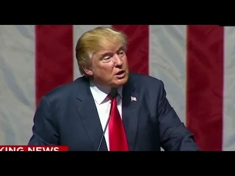 Donald Trump: Hillary Clinton Got “Schlonged” By Obama – David Pakman Show