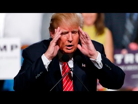 Trump: Hillary Clinton Going to the Restroom is ‘Disgusting’ – Sam Seder Majority Report