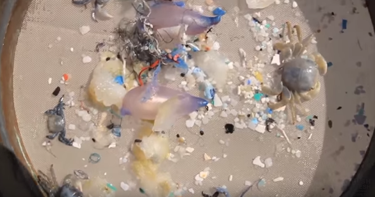 Dems and Reps Both Agree (What?!) That MicroBeads Have Got To Go: Environmental Disaster