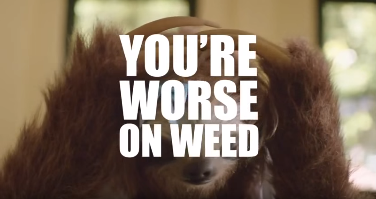 Australia’s War On Drugs Almost As Bad As U.S. Policies: Hilarious Anti-Drug Video