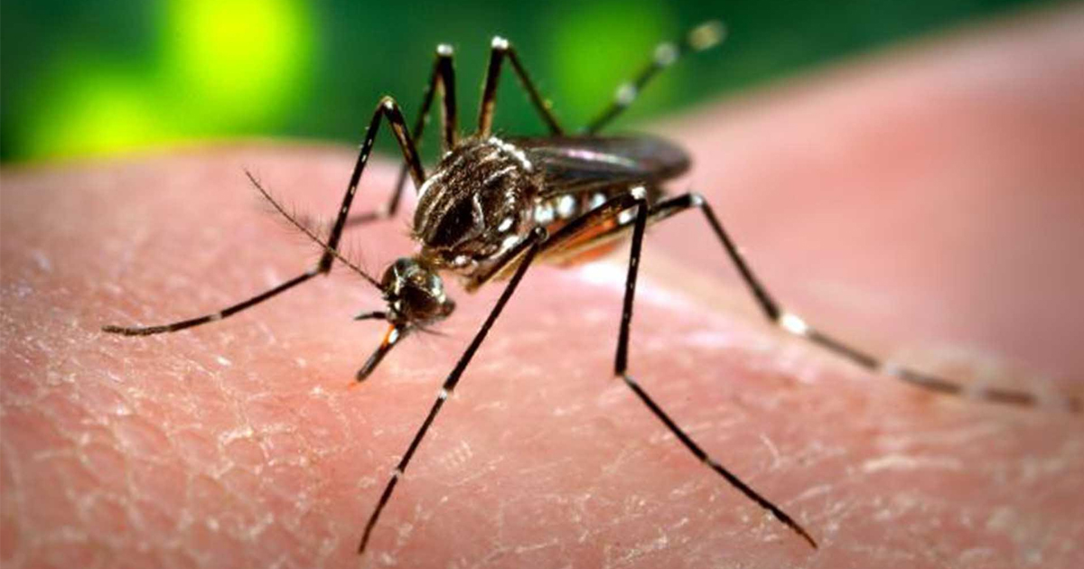 Republicans Won’t Give Rick Scott Money to Fight Zika! – Thom Hartmann Program