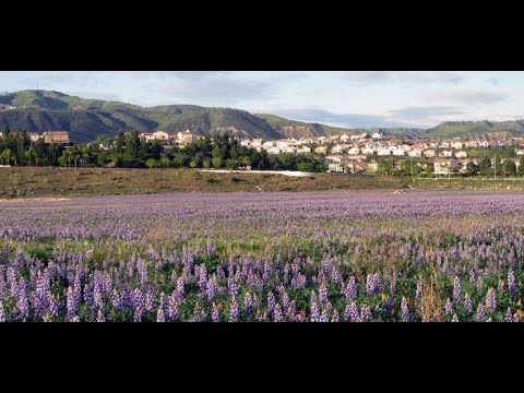 Porter Ranch: Massive CA Gas Leak—It’s a BIG Deal – Sam Seder Majority Report