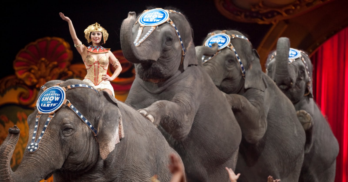 Well Deserved: Ringling Brothers Elephants To Retire Early To Sunny Florida Sanctuary