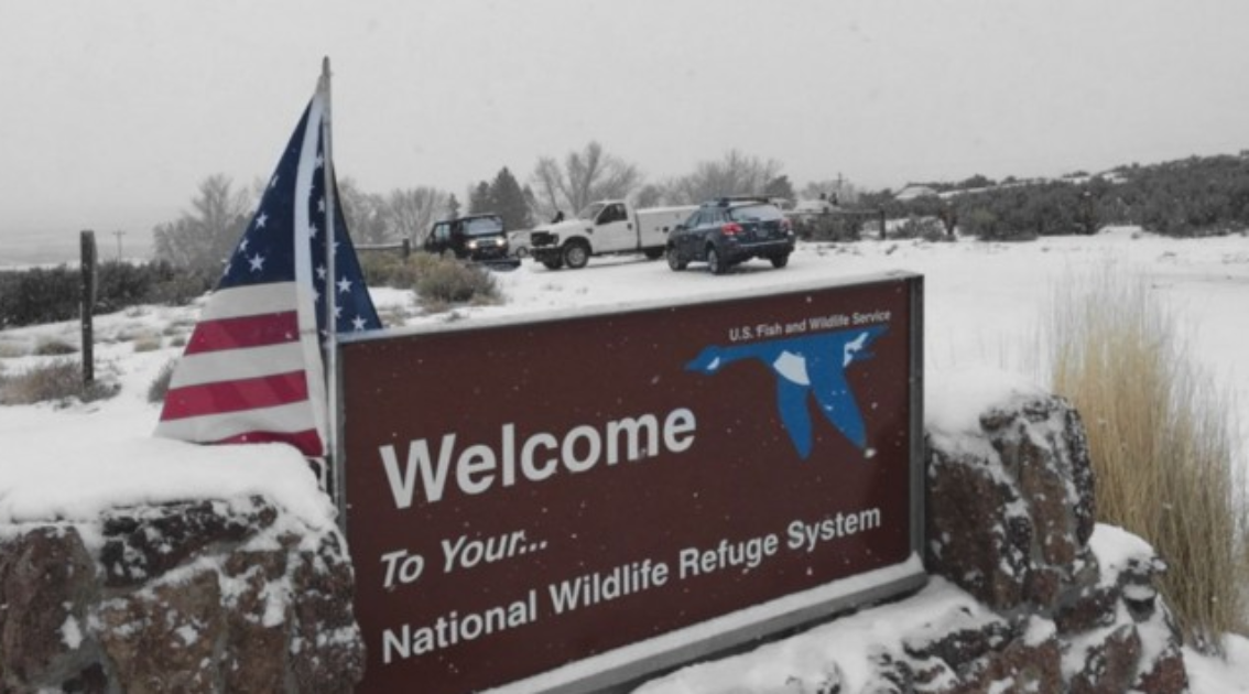 Bundy Leader Message To Remaining Rebels: “Stand Down, Go Home”