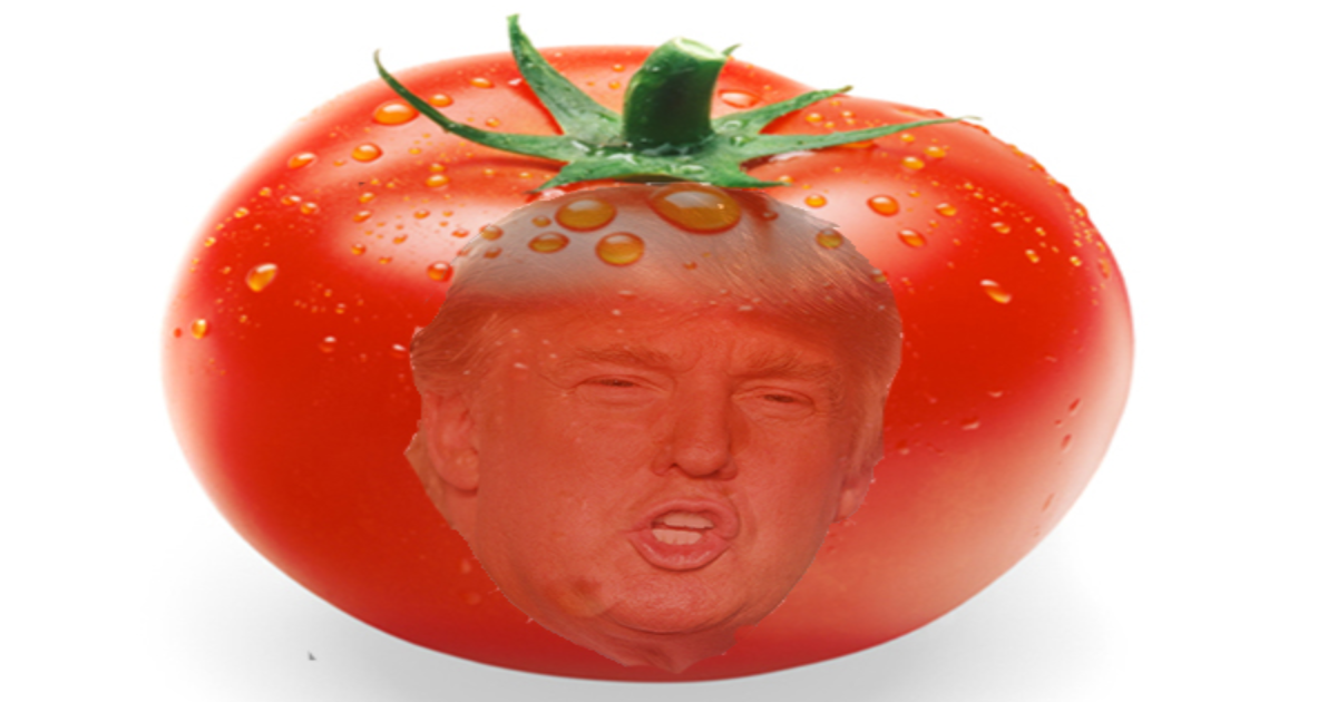 Criticism Shakespeare Style: A Protester Actually Threw Tomatoes At Donald Trump During Rally