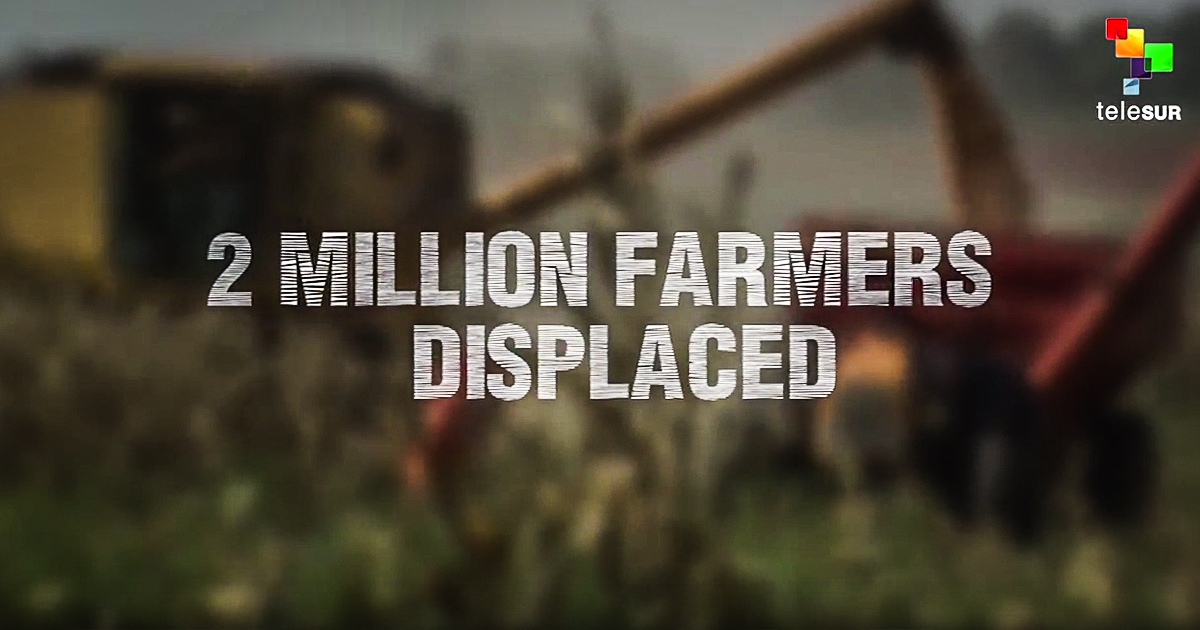 How NAFTA Displaced Millions of Mexican Farmers – Abby Martin’s Empire Files