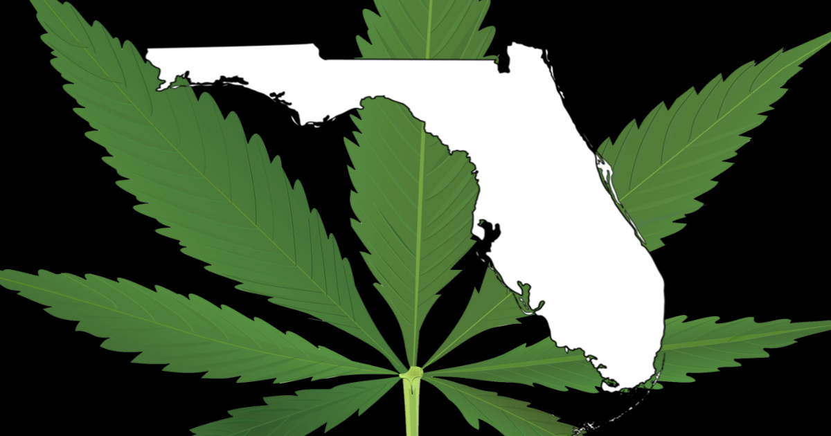 Florida Voters Likely To Pass Medical Marijuana Amendment in November