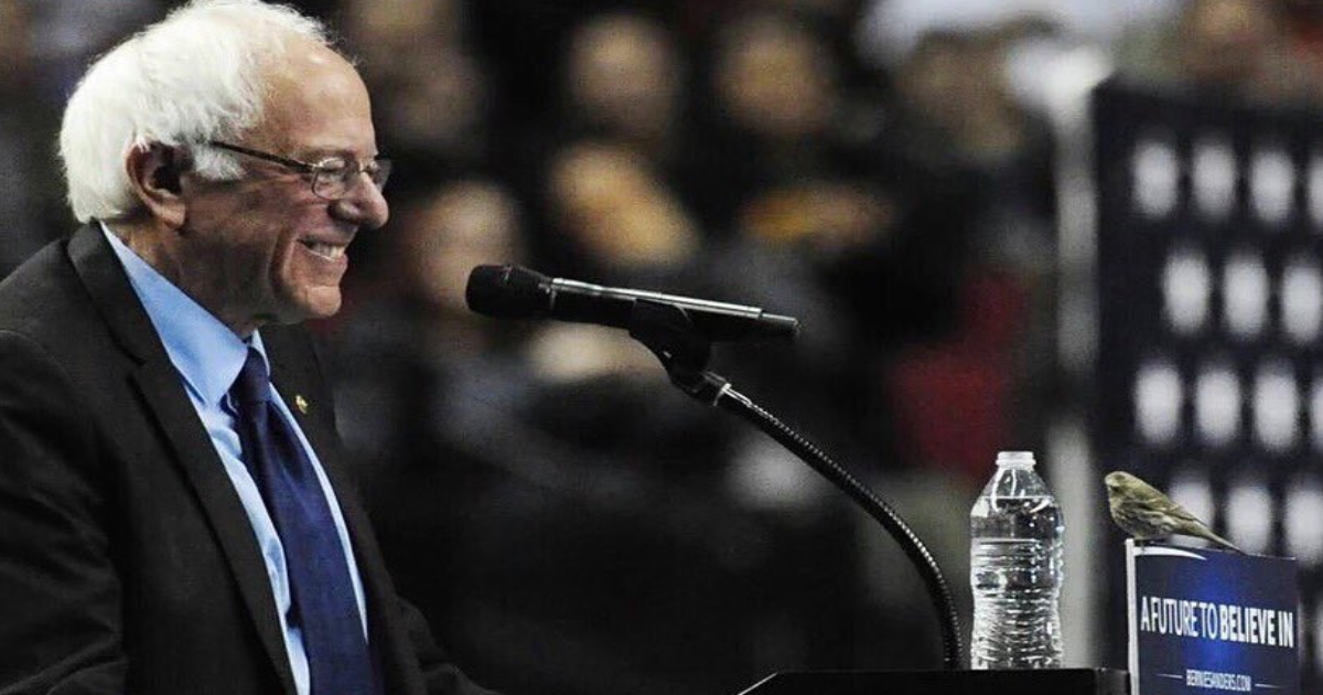 A Little #Birdie Told Sanders To Expect A Big Win On Caucus Saturday