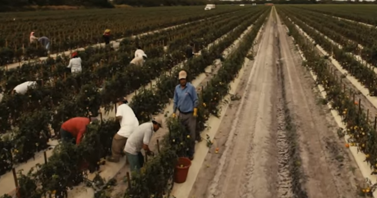 This Stirring Bernie Sanders Ad Exposes The Reality Of Migrant Farm Workers