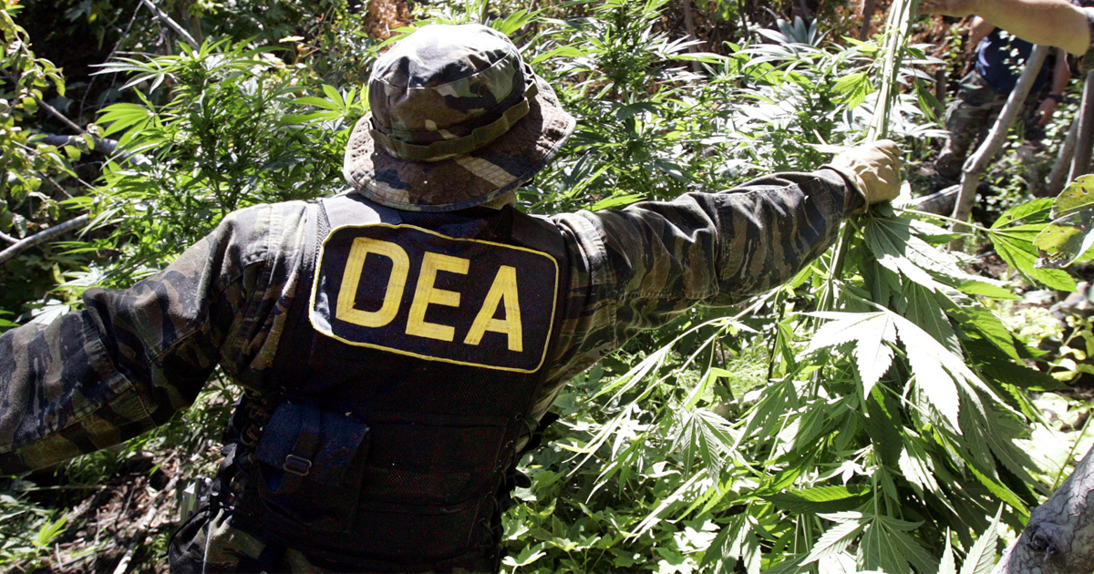 HUGE: DEA Will Soon Decide Whether to Reschedule Marijuana – David Pakman Show