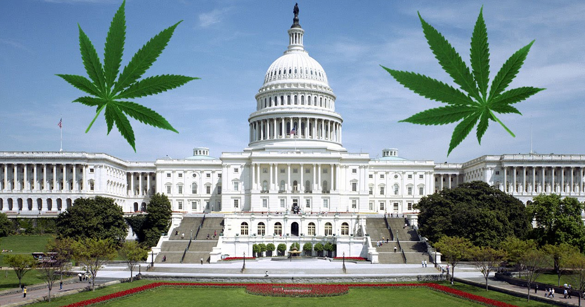 Politicians Use False Stats To Keep Marijuana Illegal – The Young Turks