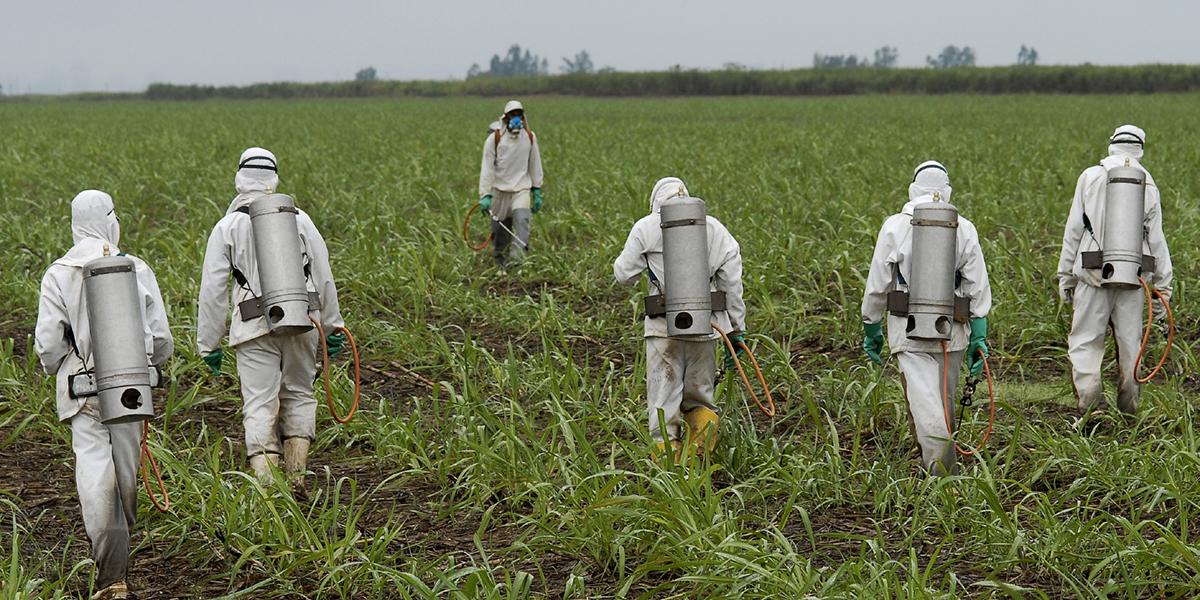 European Leaders Cave to Monsanto’s Power and Renews the Sale of Roundup Cancer Weed Killer