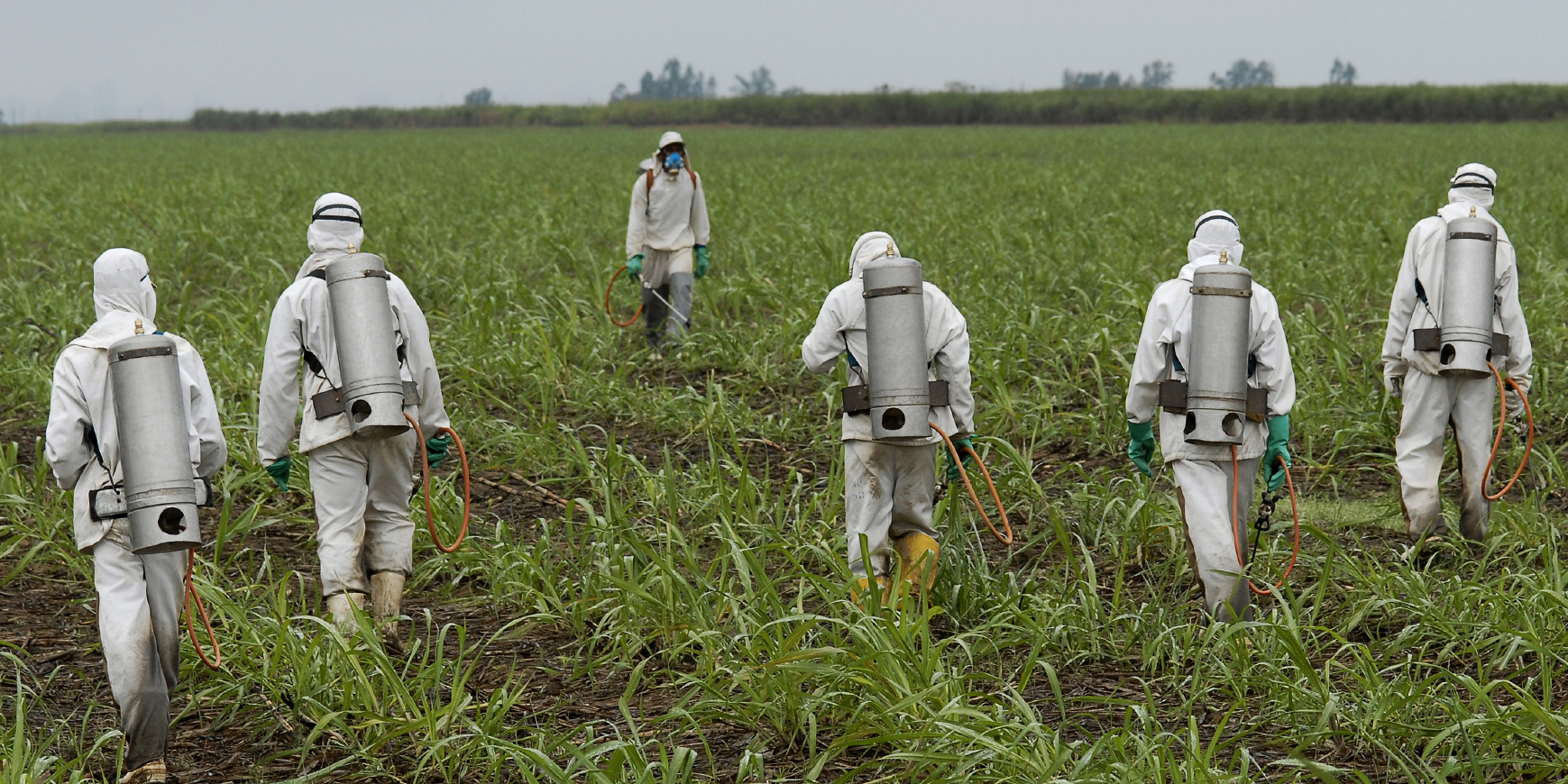 Science Says Roundup is Carcinogenic, Monsanto Says it’s Not – Who Are You Going to Believe?