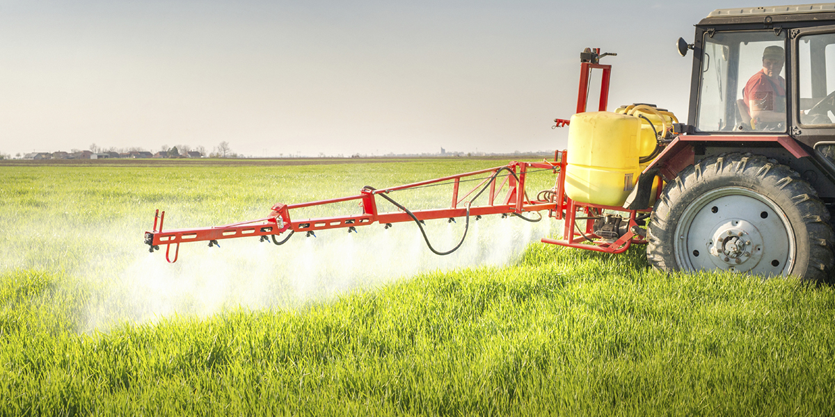 Is Monsanto’s Roundup Weed Killer Carcinogenic or Not? EPA takes its report offline