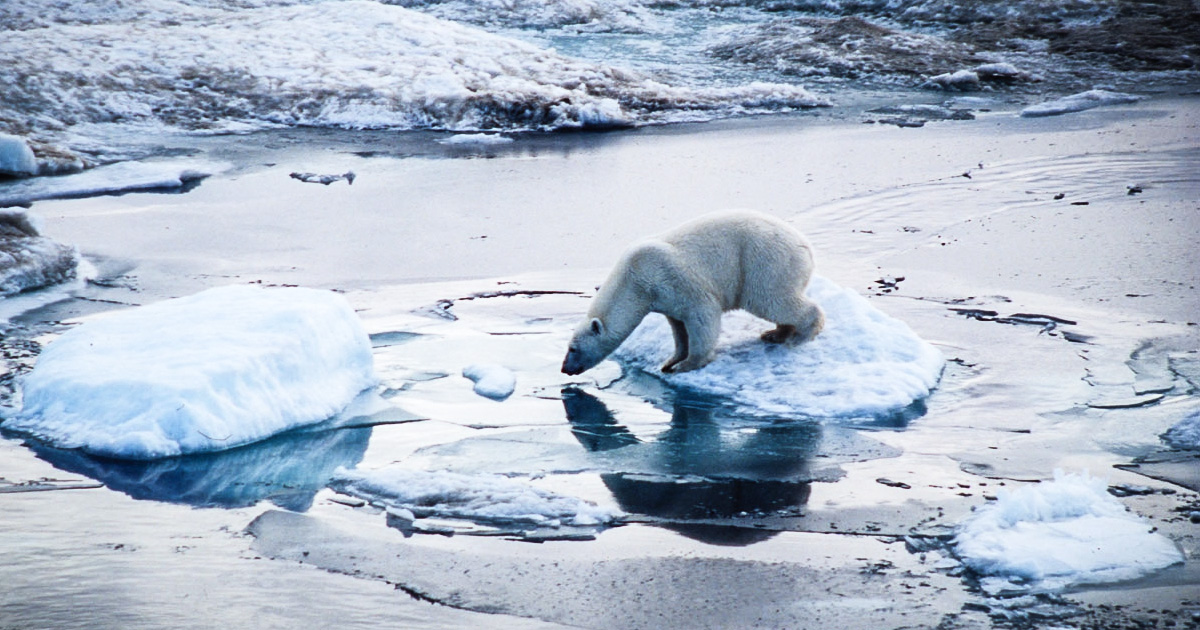 Is An Ice-Free Arctic Soon To Become A Devastating Reality? – Thom Hartmann Program