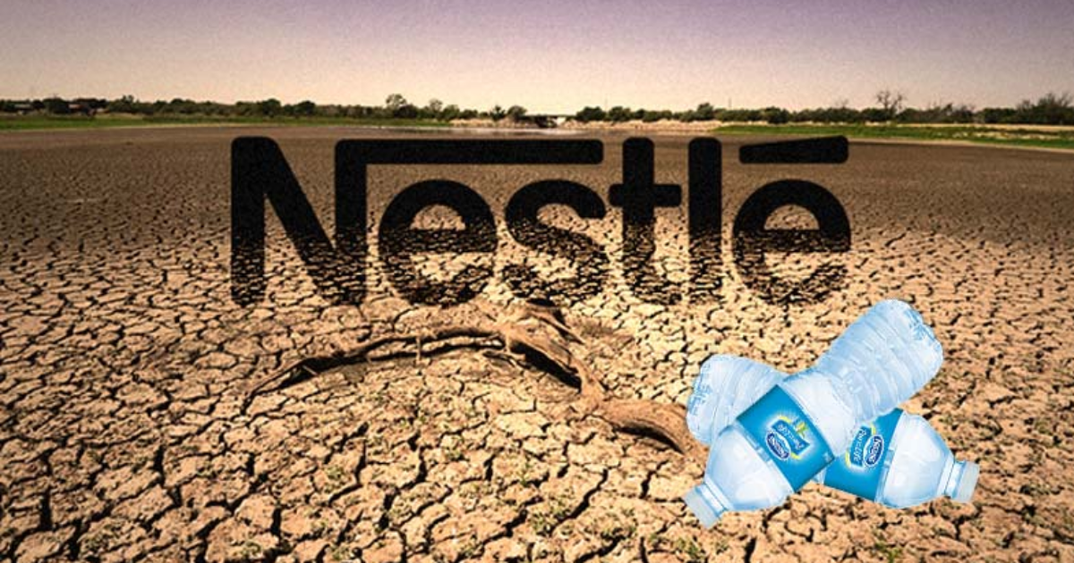 Oregon Citizens Say ‘No Way’ to Nestle Water Privatization