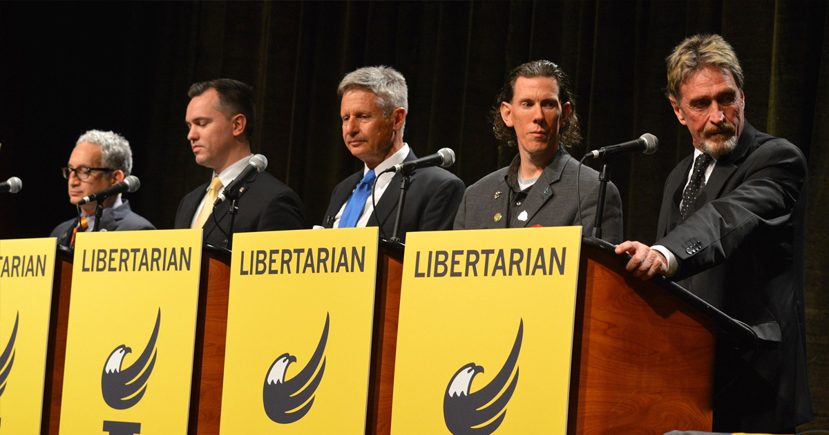 Why Are Libertarians Mostly Men???