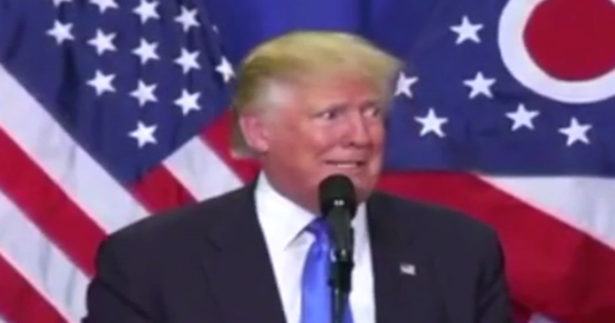 Trump Freaks Out About Mosquitoes In The Middle Of A Rally