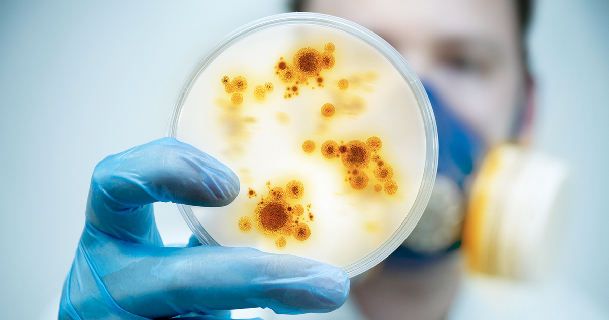 Chemist Says We’re Not Doing Enough About Drug-Resistant Superbugs – Thom Hartmann Program