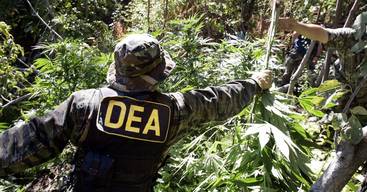 Disaster: DEA Keeping Marijuana As Schedule 1 Drug, Like Heroin – David Pakman Show