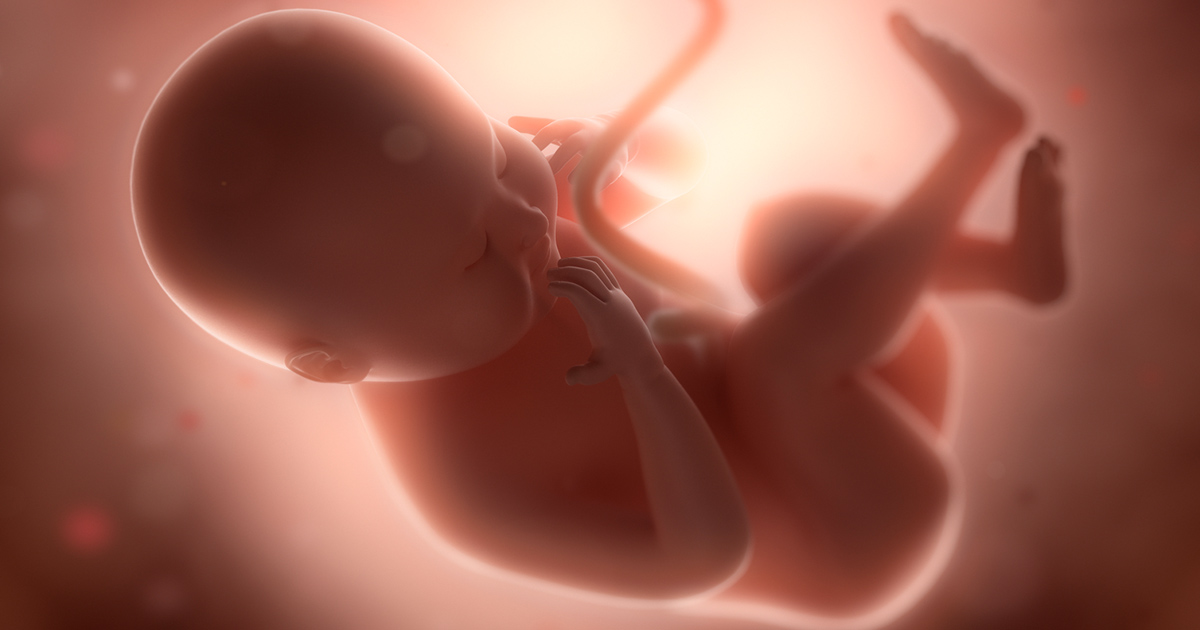 If You Want To End Abortions, You Should Work To End Poverty – Thom Hartmann Program