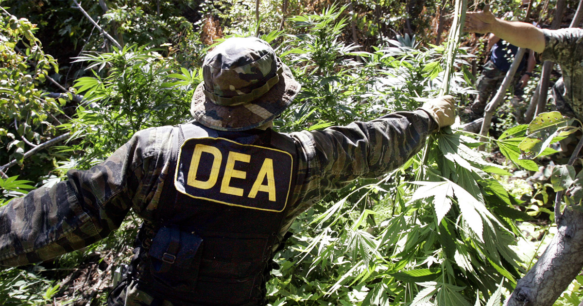 Justice Watchdog Rips DEA’s Confidential Sources – The Big Picture