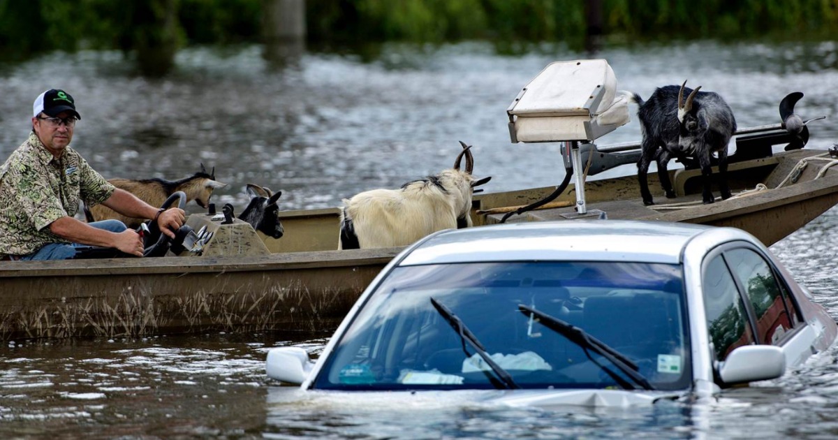 Louisiana Governor Asks Trump Not To Come to Flood Area For Photo-Op: Trump Comes Anyway