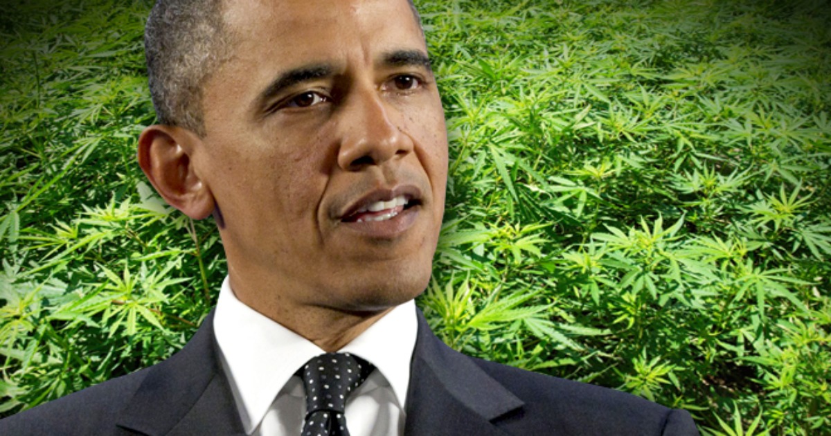 Wikileaks Reveals the True Motive Behind Democrats’ Lukewarm Relationship with Marijuana