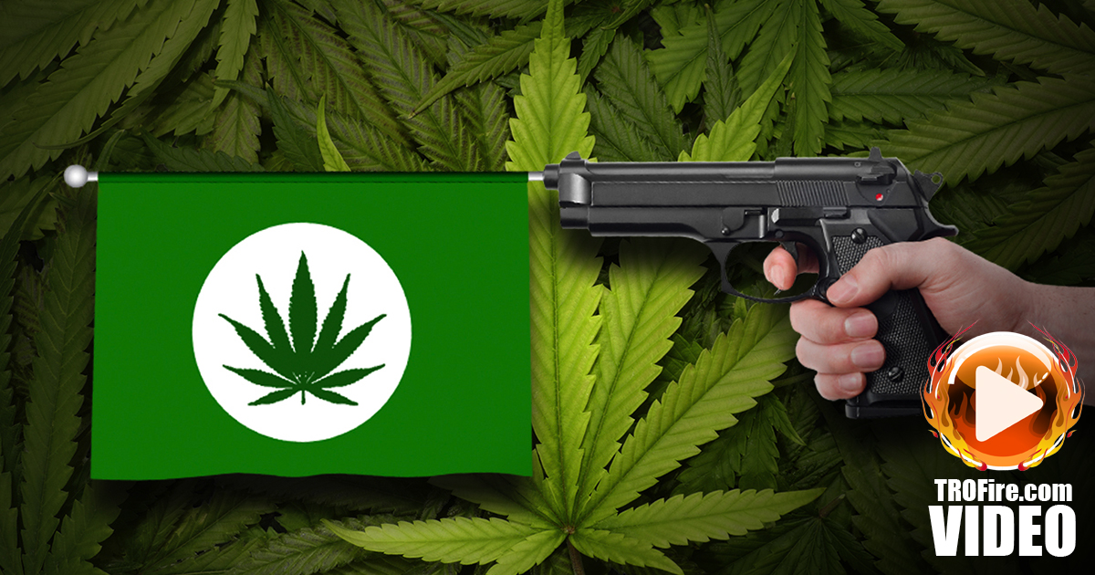 Court Says Marijuana Users Too Violent To Own Guns, But Terrorists Still Can