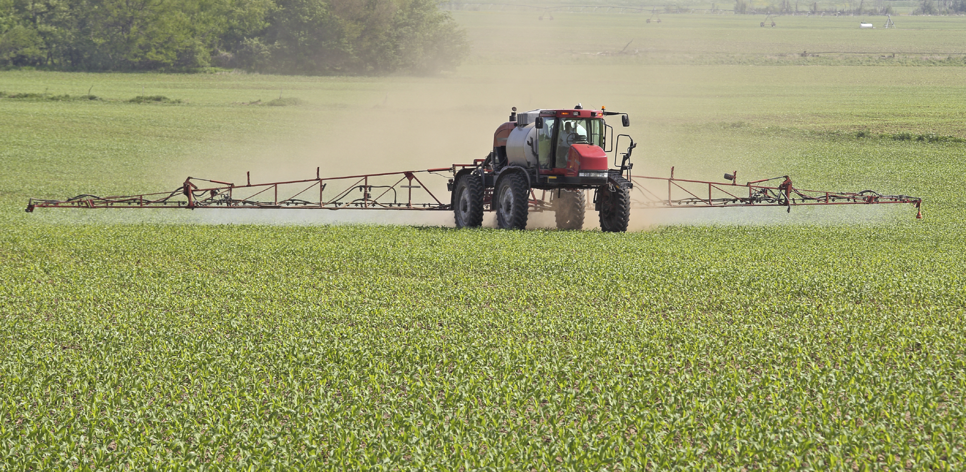 The Secret Ingredients in Monsanto’s Roundup That May Be Killing Human Cells