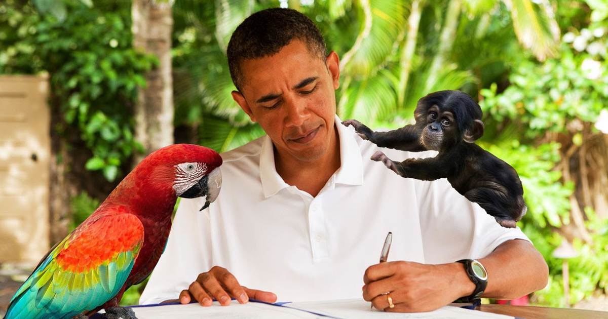 Glenn Beck: Obama Grew Up With A Monkey & A Parrot – The Majority Report