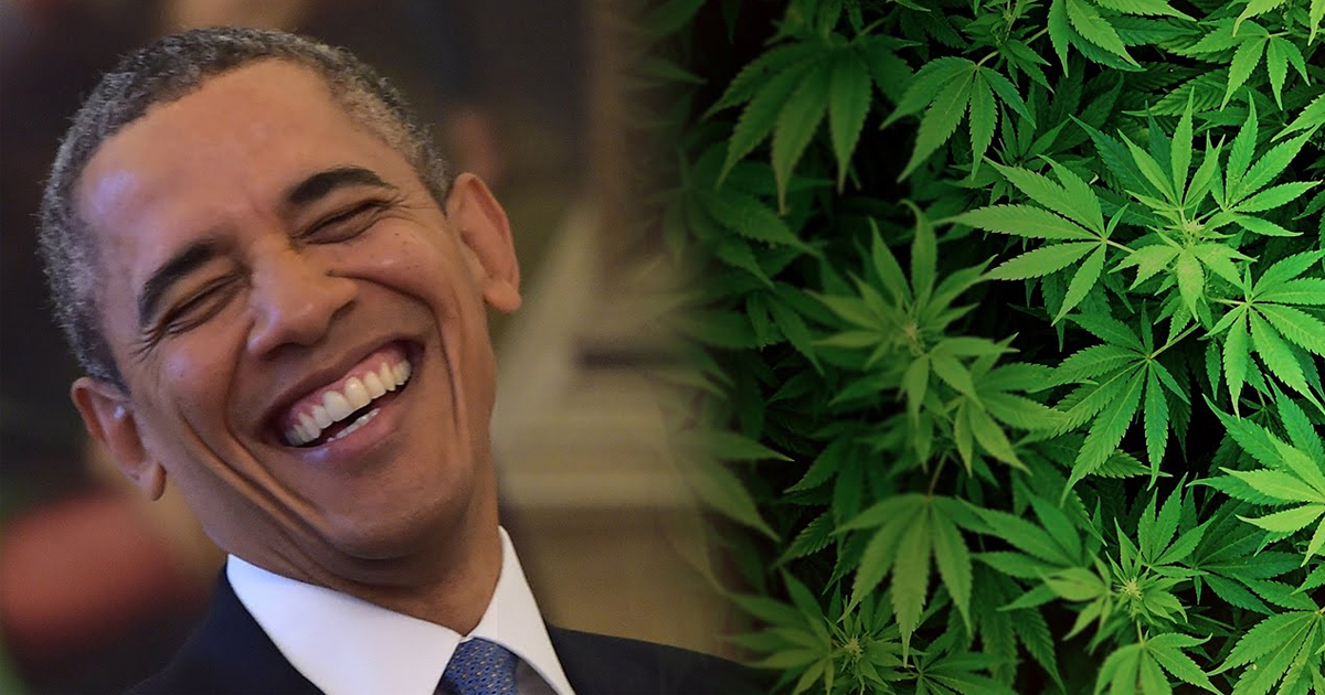 Days Before Leaving Office, Obama Says Marijuana Should Be Legal “Like Cigarettes or Alcohol” – David Pakman Show