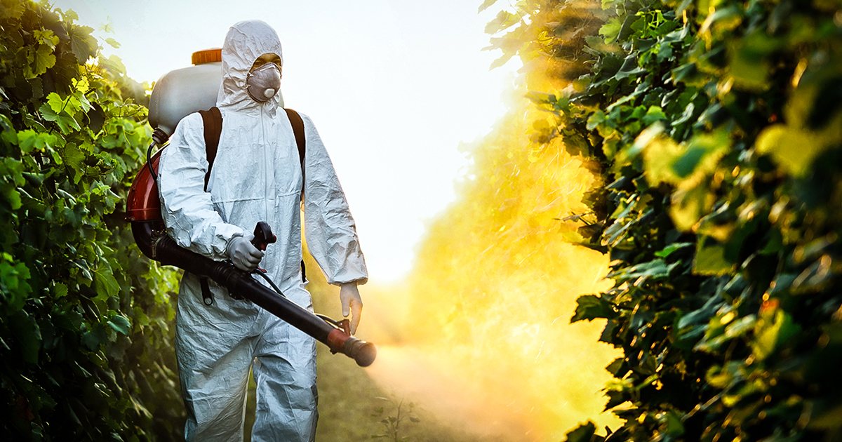 Dow Pressures Trump Administration To Kill Critical Pesticide Study Regulation