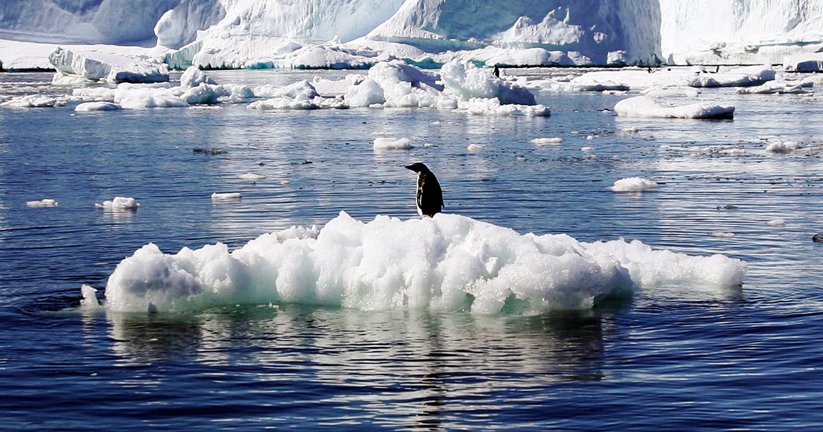 Conservation Biologist: Arctic Drilling Is A ‘Scorched Earth Policy’ – News With Ed