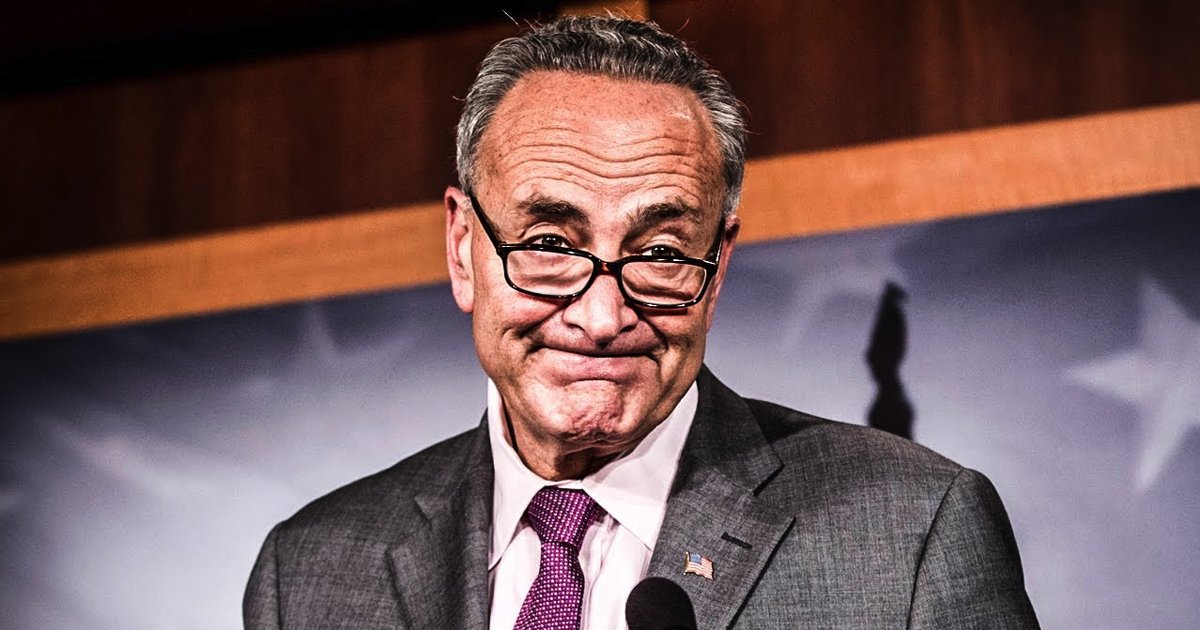 Chuck Schumer Finally Admits The Truth, Says Democrats Must Blame Themselves For 2016 Loss