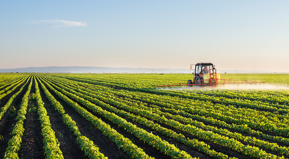 As Dicamba Crop Damage Spreads Across the Farm Belt, Arkansas Agriculture Department Recommends Complete Ban