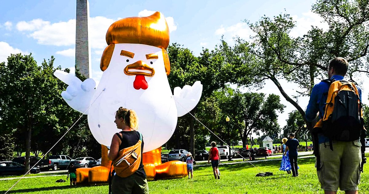 Giant Trump-Like Chicken Is Taunting The White House Right Now